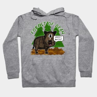 Forest Of Dean Wild Boar Funny Gloucestershire Hoodie